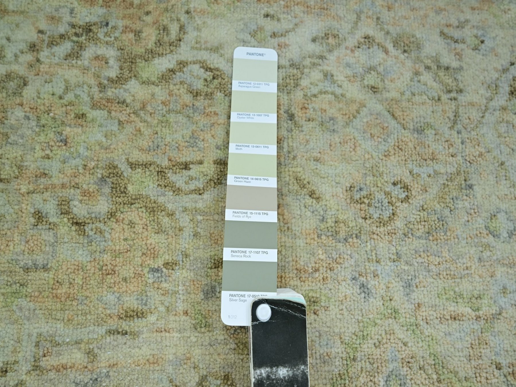 Text